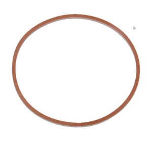 RPI TUG074 door gasket replacement for Tuttnauer 3870 and 3850 autoclaves OEM 02610019